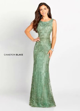 Cameron Blake 119644 #10 Dark Sage thumbnail