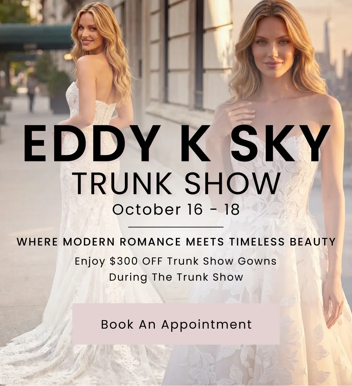 Eddy K Sky Trunk Show Banner